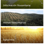 App interesante y práctica: RAIF Mobile (Red de Alerta e Información Fitosanitaria)