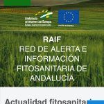 La RAIF Andalucía estrena nuevo portal