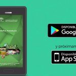 InfoPAC: app de la Junta de Andalucía sobre Solicitud Única